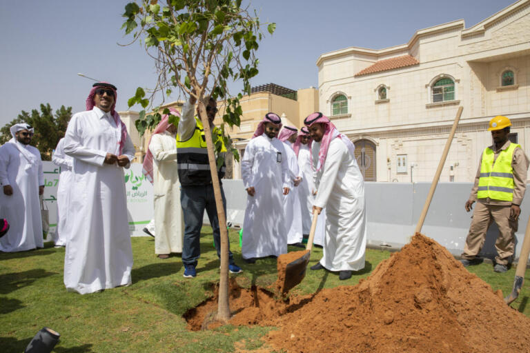 تريند الرياض الخضراء 