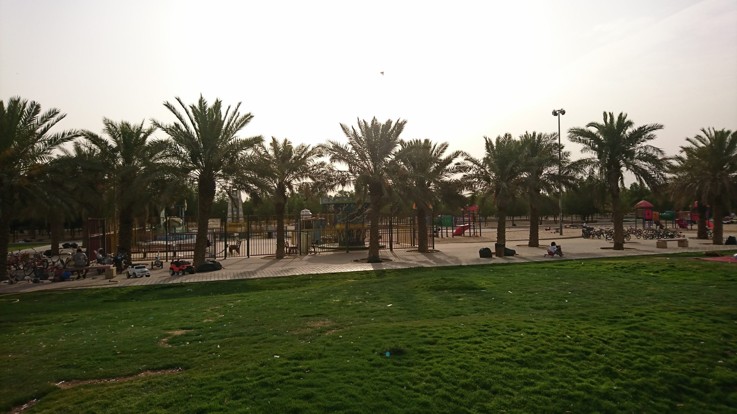 منتزه الروضة