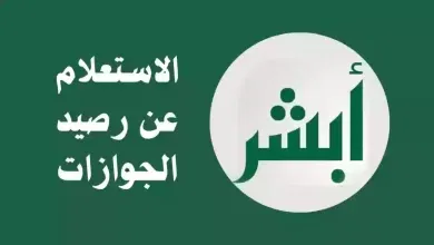 استعلام عن رصيد الجوازات