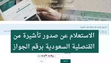 هذه طريقة استعلام صدور التأشيرة من القنصلية السعودية