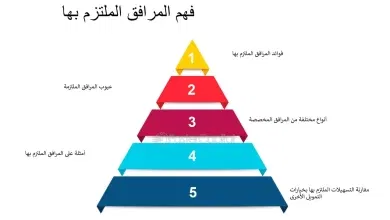 3 أنواع تمويل سريع وشروطهم