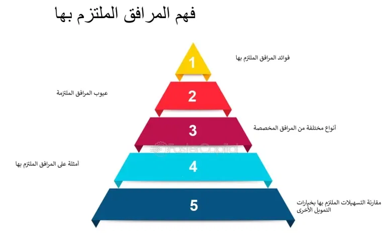 3 أنواع تمويل سريع وشروطهم