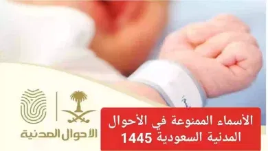 32 اسم!! الأحوال المدنية السعودية تمنع تسمية الأطفال بهذه الأسماء بقرار وزير الداخلية