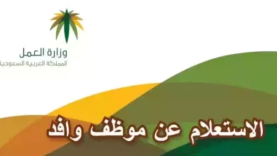 الاستعلام عن موظف وافد في المملكة