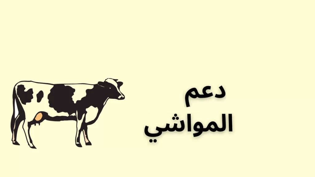 نما توضح كم تبلغ إعانة صغار مربي المواشي في السعودية