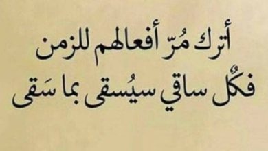 20 حالة مميزة للواتس اب وقوية.. حالات عن الحياة والناس