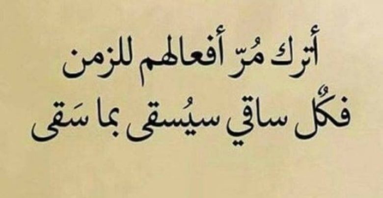 20 حالة مميزة للواتس اب وقوية.. حالات عن الحياة والناس