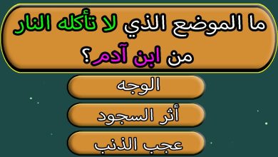 سؤال وجواب ديني مع خيارات 30 سؤال صعب مع الإجابة