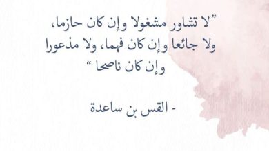 من أقوال الحكماء المسلمين عن الحياة والدين 50 مقولة مؤثرة جدًا