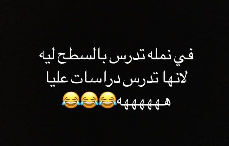 نكت تونسية بليدة مكتوبة