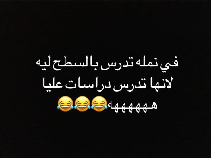 نكت تونسية بليدة مكتوبة
