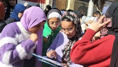 إعلان نتائج الشهادة الإعدادية 2025 في مصر: استعلم الآن برقم الجلوس والاسم